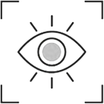 Vision Icon